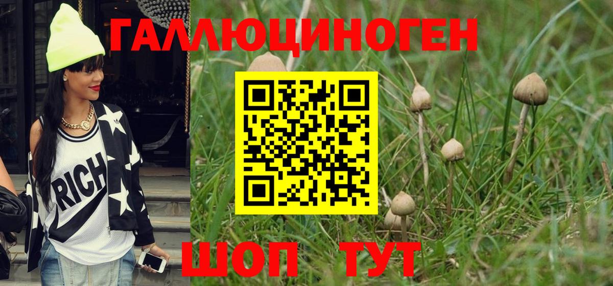 Краснознаменск  Галлюциногенные грибы Magic Shrooms  Вход с VPN 