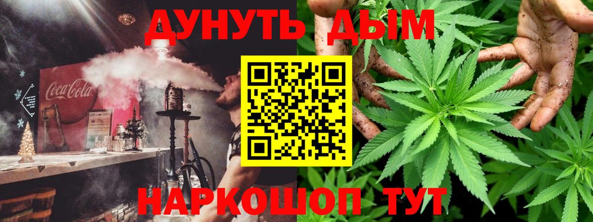 Бошки Шишки THC 21%  Вход с VPN  Краснознаменск  Бошки Шишки SATIVA & INDICA 